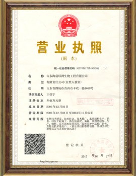 Business License