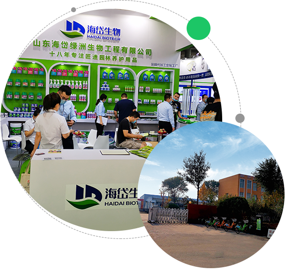 Shandong Haidailvzhou Biology Engineering Co., Ltd.